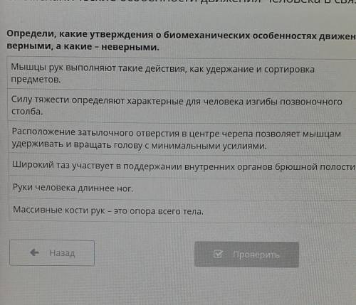 Верно не верно онлацн мектеп