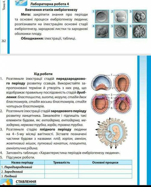 Лабораторна робота з біології 10 клас , тема: вивчення етапів ембріогенезу. до ть, будь ласка 