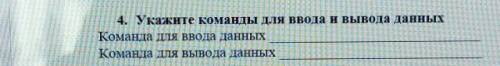 4. Укажите команды для ввода и вывода данных Команда для ввода данныхКоманда для вывода данных