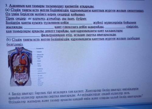 Көмек тесіңісші өтінемін 