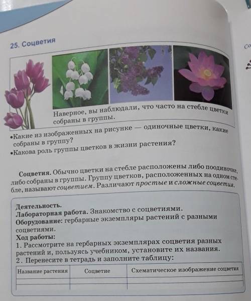 В деятельности надо сделать таблицу под номером большое!