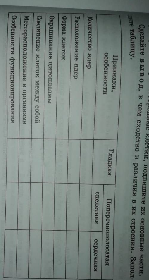 Сделайте вывод, в чем сходство и различия в их строении. Заполните таблицу. 