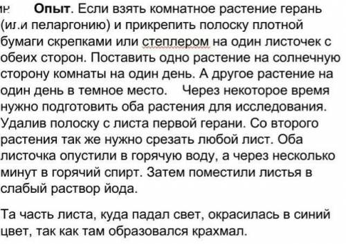 1 Что произошло с листочком герани (пеларгонии), которая стояла в темном месте? 2. Как ты думаешь п
