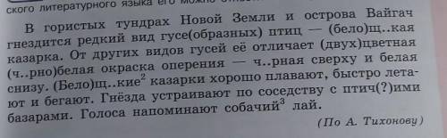 Укажите разряды прилагательных