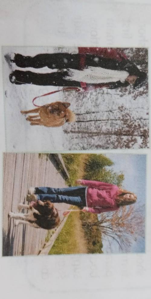 Look at the two pictures and compare them. Foow the plan in the Study Skills box. 