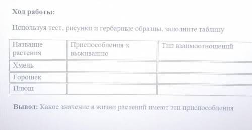 Сделать таблицу и написать вывод(все на фото)