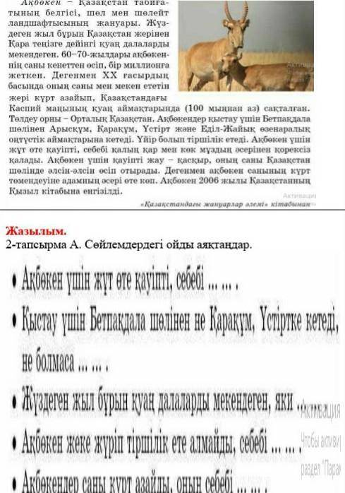 ОТВЕТИТЬ НА 2 ЗАДАНИЕ 2,3,4 