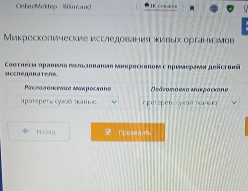 Соотнеси правила использования микроскопом с примерами действий исследователя. 