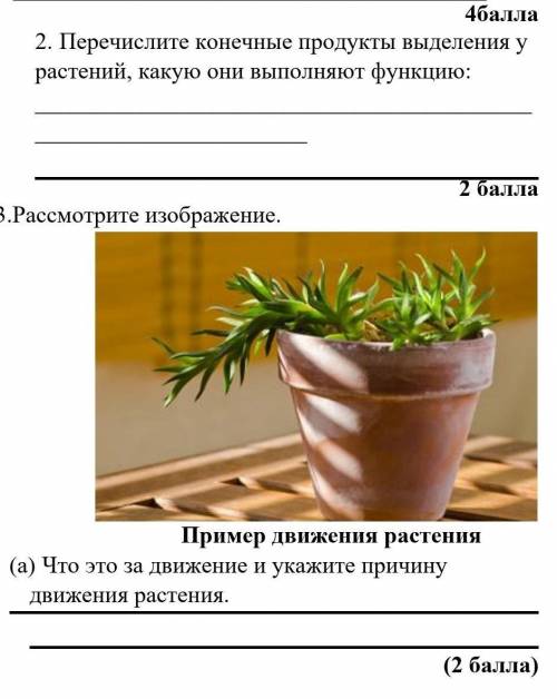 Суммативное оценивание 3 четверти за разделы «Выделение» и «Движение» 7 кл