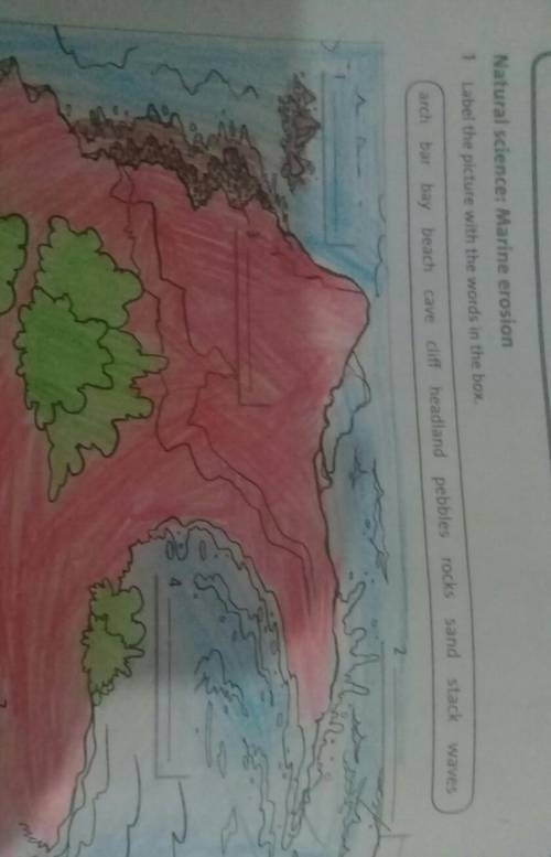 Natural science: Marine erosion1Label the picture with the words in the box.