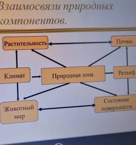 Заполните таблицу взаимосвязей природных компонентов полупустынь(на фото нужно сдать!