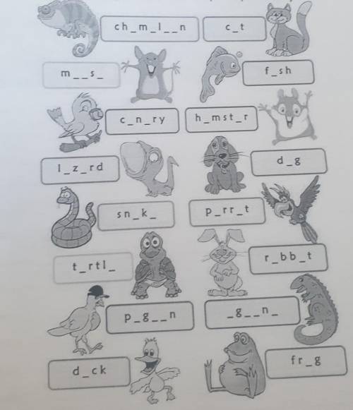 Write the wissing letters in the boxes to complete the pets vocabulary