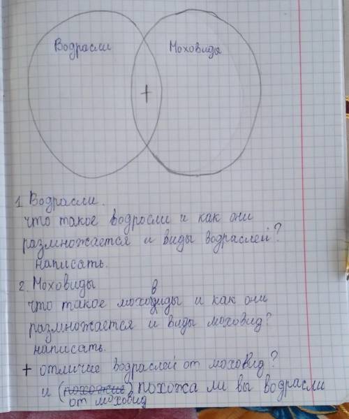 клянусь я не вру умоляю вас 