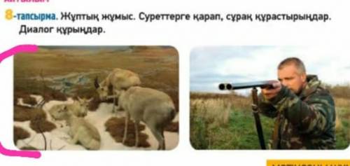 Жұптық жұмыс. Суреттерге қарап, сұрақ құрастырыңдар.Диалог құрыңдар.