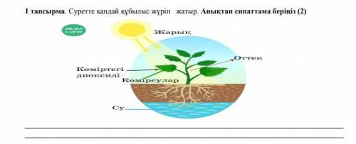 Суретте кандай кубылыс жүріп тур аныктап сипаттама берениз сор