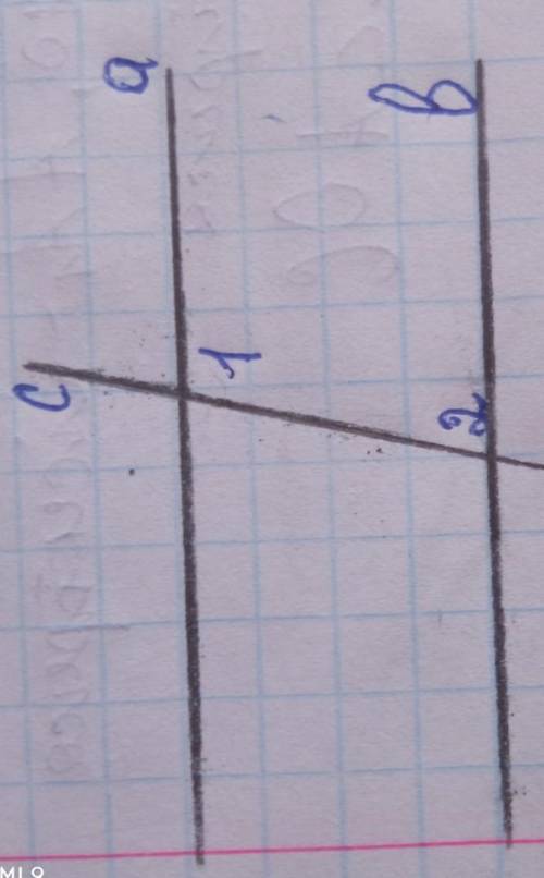 Дано а||в, с-січна, кут 1 мінус кут 2 = 102 градуси. Знайти усі не розгорнуті кути, що утворилися