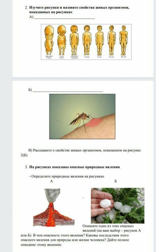 СОР ПО ЕСТЕСТВОЗНАНИЮ СДЕЛАААААТЬЬЬЬ
