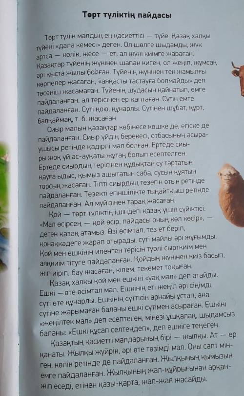 Мәтін бойынша диалог құру 8 сұрақ және 8 жауап