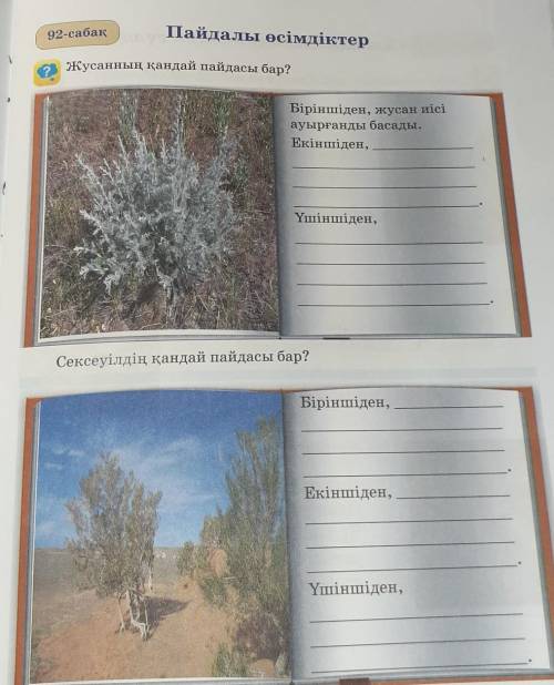 Жусанның қандай пайдасы бар? Сексеуілдің қандай пайдасы бар? только правильно нужно)