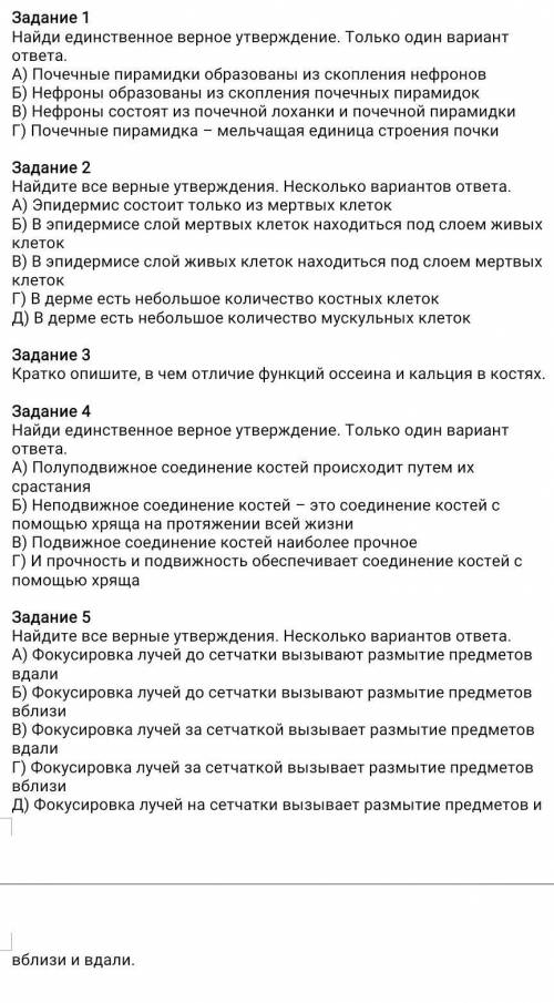 Найди единственное верное утверждение.Только один вариант ответа