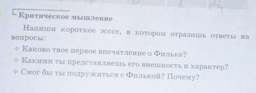 (это русская литература)Стр 57, написать эссе