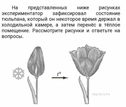 Как называется общее свойство организмов которое демонстрирует этот опыт