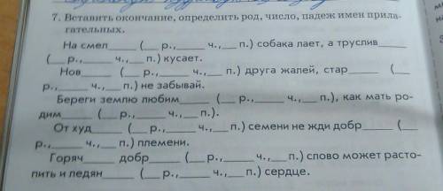 Вставить окончания определить род число падеж имён прилагательных 