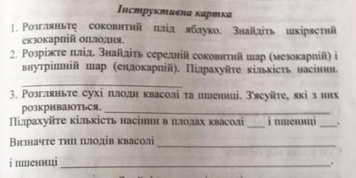 нужна у меня контрольная Просто зайчик 
