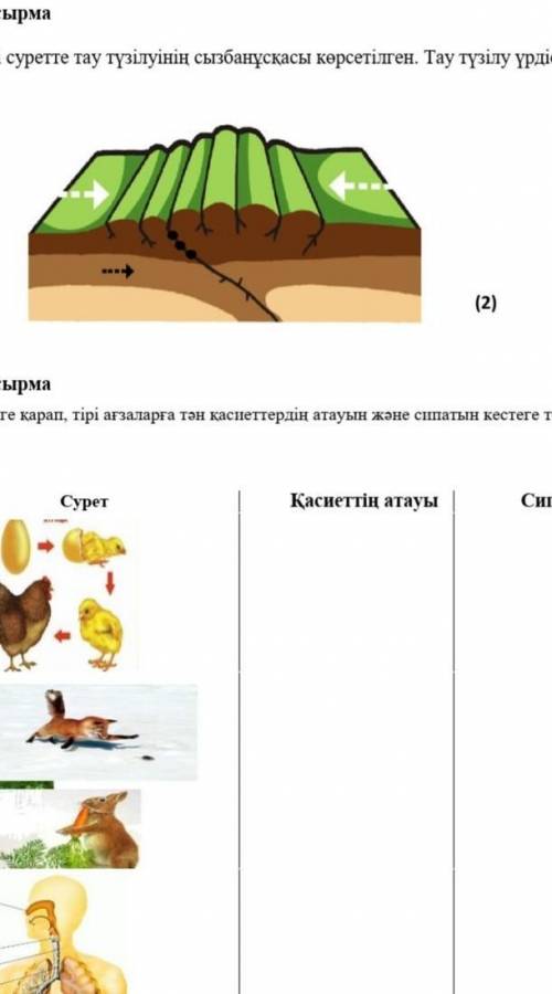 Жаратылыстану 5сынып 3тоқсан т.ж.б