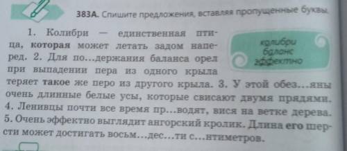 383Б. Укажите разряд, форму выделенных местоименийпо этому тексту!