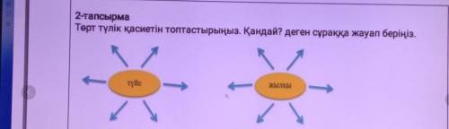 2-тапсырмаТөрт түлік қасиетін топтастырыңыз. Қандай? Деген сұраққа жауап беріңіз. 