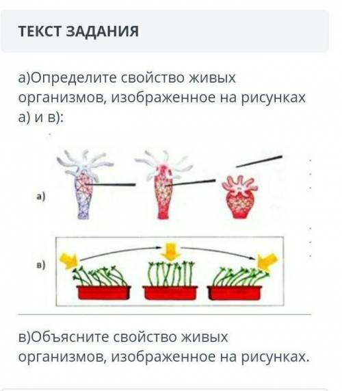 Определите свойство живых организмов,изображенное на рисунках 