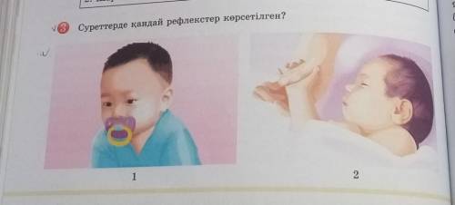 3 Суреттерде қандай рефлекстер көрсетілген пэ очень легко ноя сама не могу там 2 фотки