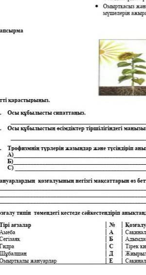 Кімде бар!көмектесейікші рахмет муа