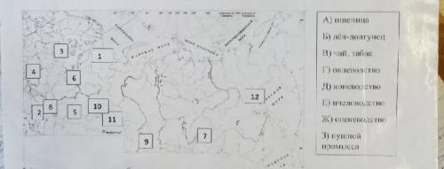 Надо сопоставить месторасположение в России с разделами животноводства или культурами