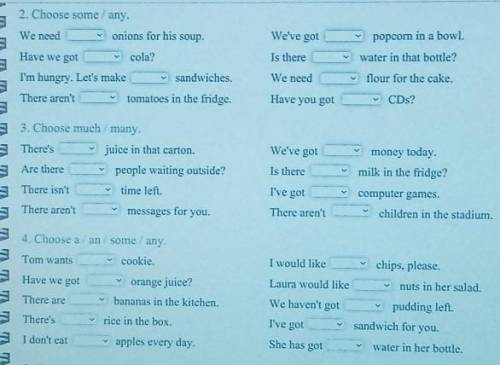 2.Choose some/any.3.Choose much/many.4.Choose a/an/some/any.