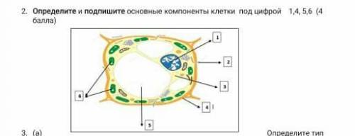 кто ответит неправильно или белебирду бан дам . 