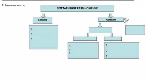 Заполните кластер по биологии 