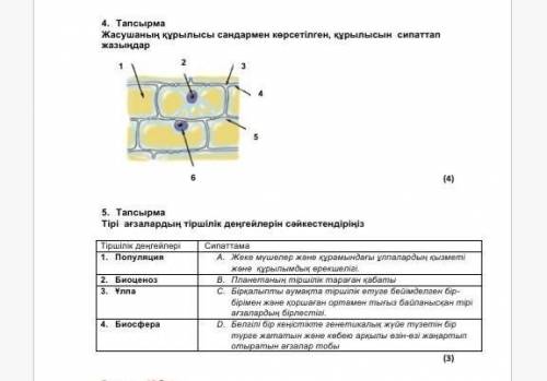 Комектесіндерші отінем берем