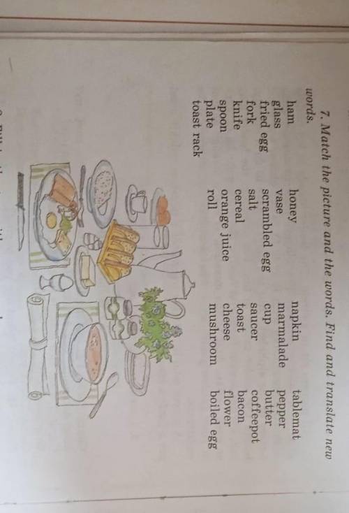 Match the picture and the words. Find and translate new words.