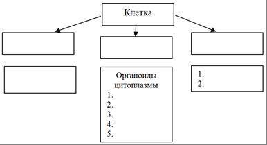 Решите , сор. строение клетки
