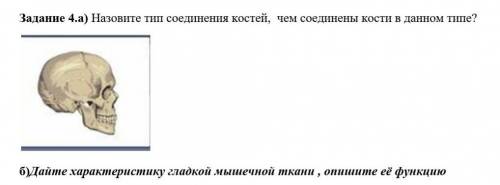 4.а) Назовите тип соединения костей, чем соединены кости в данном типе? 