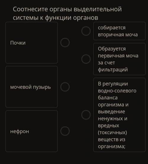 Соотнесите органы выделительной системы к функции органов