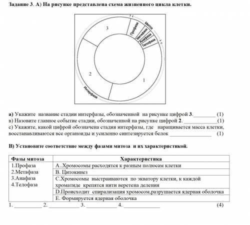 9кл биология сор за ответ типо не знаю бан
