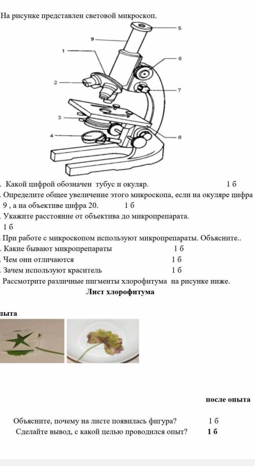 с СОР по естествознанию. Если не видно напишите заранее 