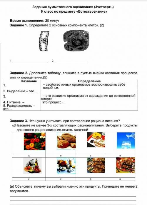 Определить 2 основных клетки