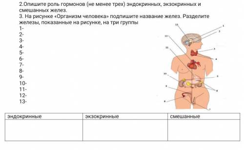 2.Опишите роль гормонов (не менее трех) эндокринных, экзокринных и смешанных желез. 3. На рисунке «О