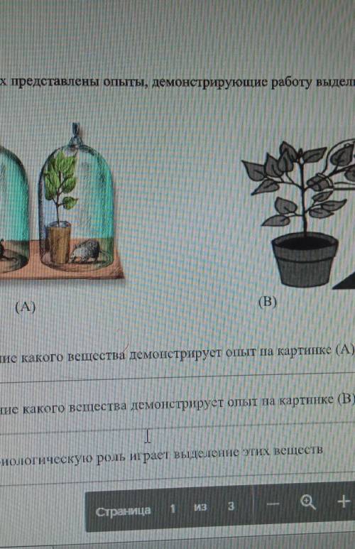На картинках представлены опыты демонстрирующих работу выделительной системы