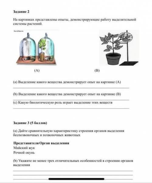 биология седьмой класс сор начнтся через 2-3 минуты 