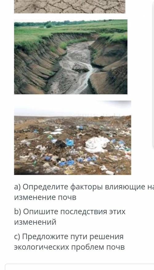 Определите факторы влияющий на изменение почв